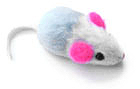 mousie1